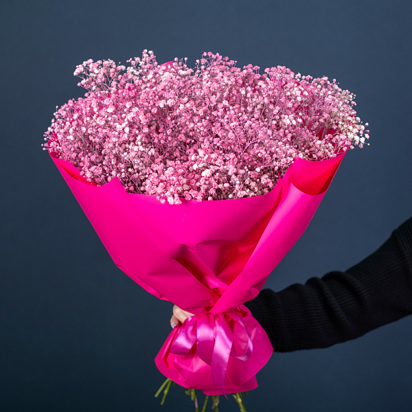 Купить Гипсофила пинк в  с бесплатной доставкой: цена, фото, описание